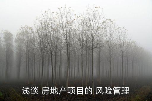 房地產(chǎn)投資風險