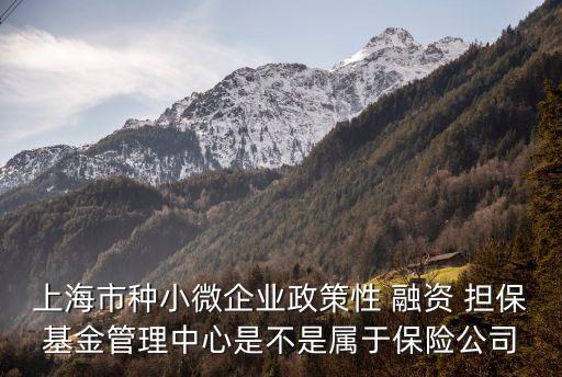 上海市種小微企業(yè)政策性 融資 擔?；鸸芾碇行氖遣皇菍儆诒ｋU公司