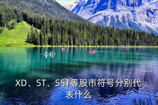 XD、ST、SST等股市符號分別代表什么