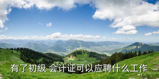 有了初級 會計(jì)證可以應(yīng)聘什么工作