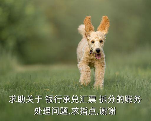 求助關(guān)于 銀行承兌匯票 拆分的賬務(wù)處理問題,求指點(diǎn),謝謝