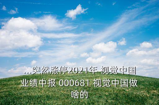 ...突然漲停2021年 視覺中國(guó)業(yè)績(jī)中報(bào) 000681 視覺中國(guó)做啥的