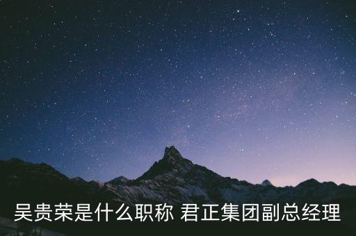 上海君正拍賣,上?？铸埖盎馁u