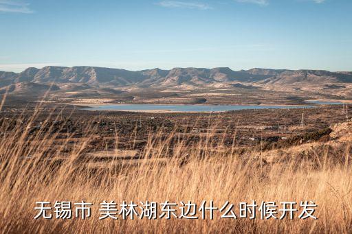 無(wú)錫市 美林湖東邊什么時(shí)候開發(fā)