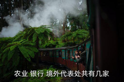 銀行開(kāi)設(shè)境外分支,個(gè)人可以在境外開(kāi)設(shè)銀行賬戶(hù)嗎?