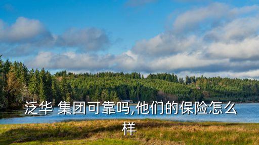  泛華 集團(tuán)可靠嗎,他們的保險怎么樣