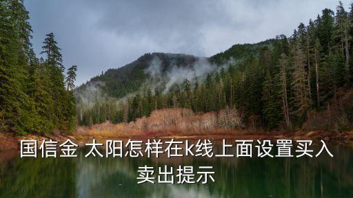 國(guó)信金 太陽怎樣在k線上面設(shè)置買入賣出提示