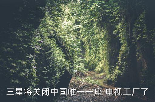 三星將關(guān)閉中國(guó)唯一一座 電視工廠(chǎng)了