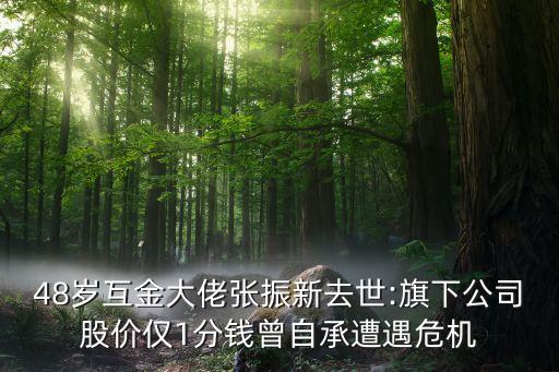 48歲互金大佬張振新去世:旗下公司股價僅1分錢曾自承遭遇危機(jī)