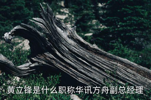 黃立鋒是什么職稱華訊方舟副總經理