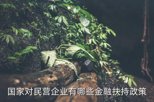 政府性擔(dān)?；?政府創(chuàng)業(yè)擔(dān)保基金是國(guó)家的嗎