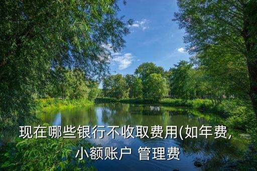 現在哪些銀行不收取費用(如年費, 小額賬戶 管理費