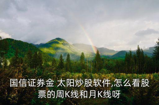國(guó)信證券金 太陽炒股軟件,怎么看股票的周K線和月K線呀