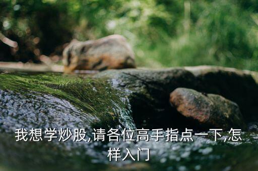 我想學(xué)炒股,請(qǐng)各位高手指點(diǎn)一下,怎樣入門