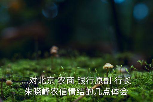 ...對北京 農(nóng)商 銀行原副 行長朱曉峰農(nóng)信情結(jié)的幾點體會