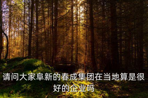 請問大家阜新的春成集團在當(dāng)?shù)厮闶呛芎玫钠髽I(yè)嗎