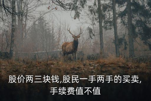 股價(jià)兩三塊錢(qián),股民一手兩手的買(mǎi)賣(mài),手續(xù)費(fèi)值不值