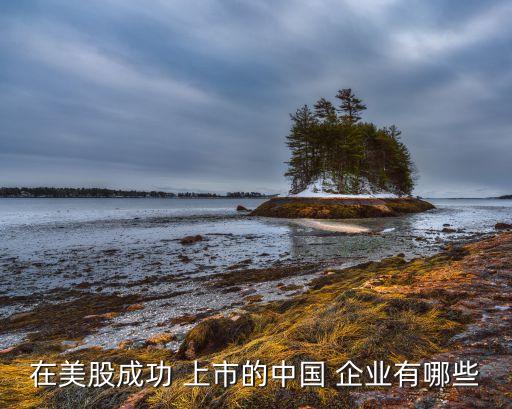 在美股成功 上市的中國(guó) 企業(yè)有哪些