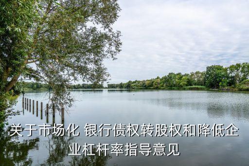 關于市場化 銀行債權(quán)轉(zhuǎn)股權(quán)和降低企業(yè)杠桿率指導意見