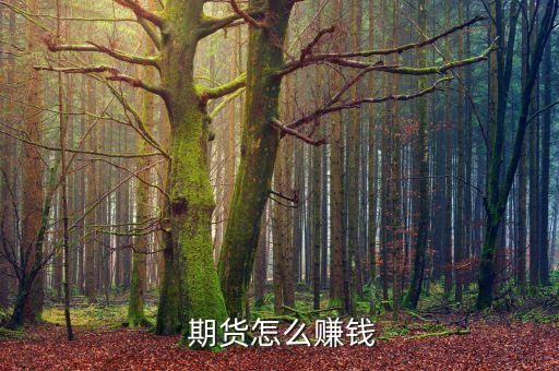  期貨怎么賺錢(qián)