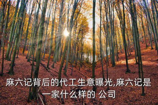 汪小菲公司產品