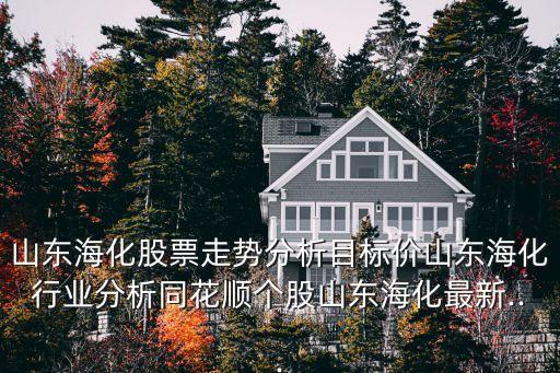 山東海化股票走勢分析目標(biāo)價(jià)山東?；袠I(yè)分析同花順個(gè)股山東?；钚?..