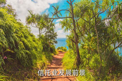 2004年中國(guó)信托公司經(jīng)營(yíng)藍(lán)皮書