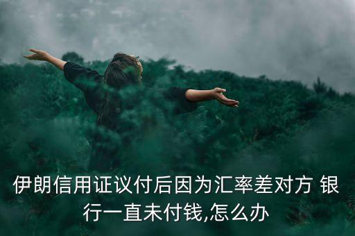 伊朗信用證議付后因?yàn)閰R率差對(duì)方 銀行一直未付錢,怎么辦