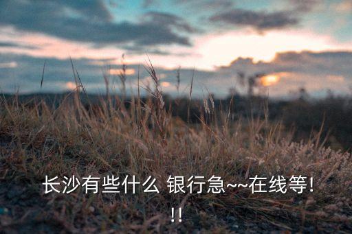  長沙有些什么 銀行急~~在線等!!!
