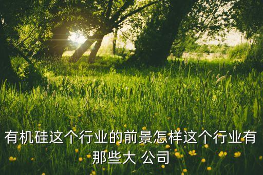有機硅這個行業(yè)的前景怎樣這個行業(yè)有那些大 公司
