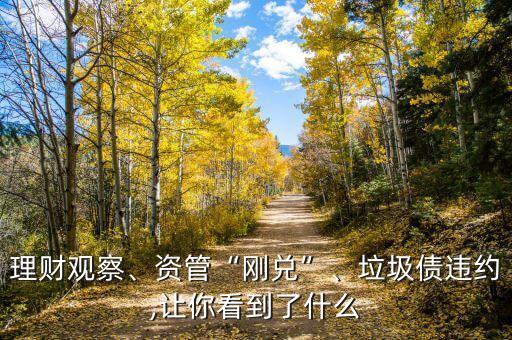 中國(guó)長(zhǎng)城資產(chǎn)管理公司年報(bào)