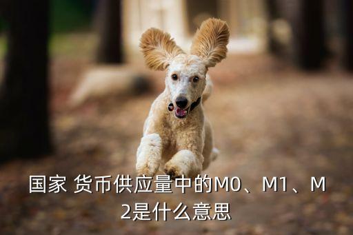國家 貨幣供應(yīng)量中的M0、M1、M2是什么意思