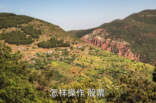 股票做票,股票的筆順怎么寫(xiě)