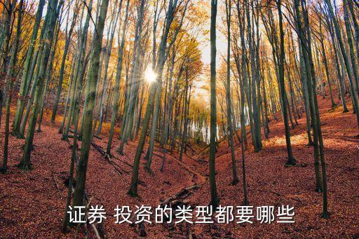  證券 投資的類(lèi)型都要哪些