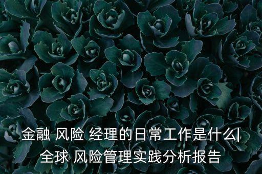 金融 風險 經理的日常工作是什么|全球 風險管理實踐分析報告