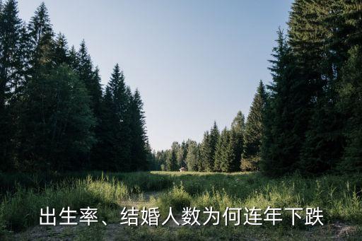 出生率、結(jié)婚人數(shù)為何連年下跌