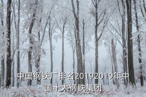 中國鋼鐵廠排名20192019年中國十大鋼鐵集團(tuán)