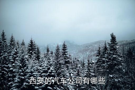 西安的汽車(chē)公司有哪些