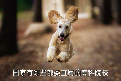 國家有哪些部委直屬的?？圃盒? class=