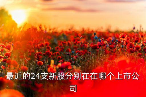 誠益通股票上市價(jià)