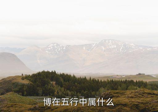 北京博睿勤資產多大