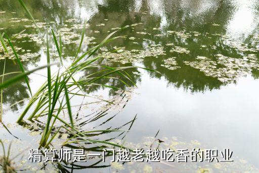  精算師是一門(mén)越老越吃香的職業(yè)