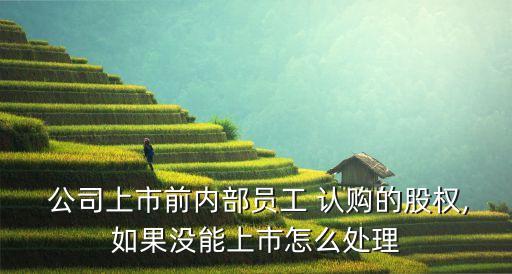  公司上市前內(nèi)部員工 認購的股權,如果沒能上市怎么處理