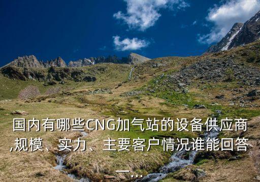 國內(nèi)有哪些CNG加氣站的設(shè)備供應(yīng)商,規(guī)模、實力、主要客戶情況誰能回答一...