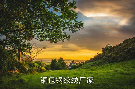 銅包鋼絞線(xiàn)廠家