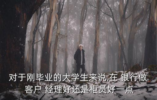 對于剛畢業(yè)的大學(xué)生來說,在 銀行做 客戶 經(jīng)理好還是柜員好一點(diǎn)