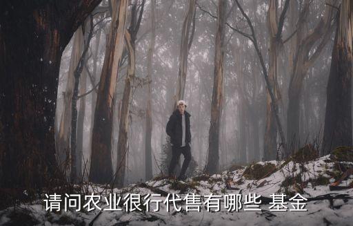 請問農(nóng)業(yè)很行代售有哪些 基金