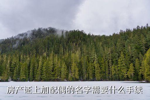 房產證上加配偶的名字需要什么手續(xù)