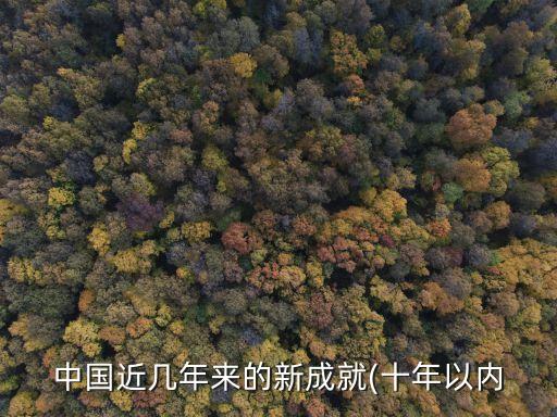 中國(guó)近幾年來的新成就(十年以內(nèi)