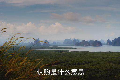 公司認購,華虹公司認購